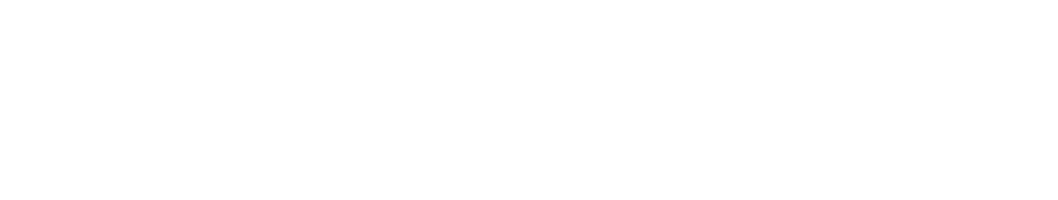 Baggique